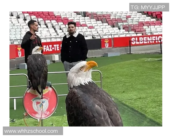 足球明星时尚穿搭揭秘名牌潮流引领球场外的风尚