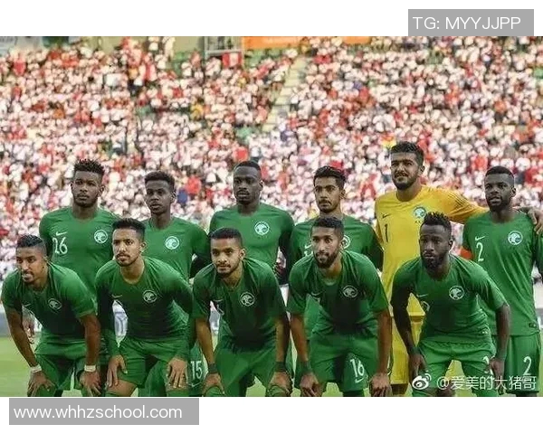 俄罗斯与沙特足球排名对比分析及未来发展趋势探讨